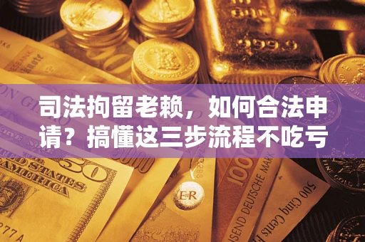 济南司法拘留老赖，如何合法申请？搞懂这三步流程不吃亏！