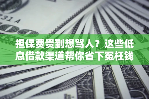 济南担保费贵到想骂人？这些低息借款渠道帮你省下冤枉钱