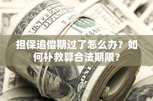 济南担保追偿期过了怎么办？如何补救算合法期限？