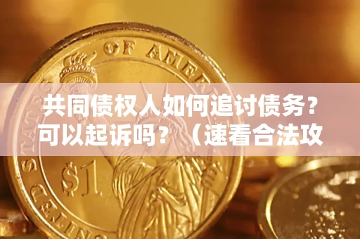 济南共同债权人如何追讨债务？可以起诉吗？（速看合法攻略）